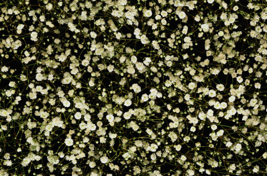 682208 (a): :1920x1267